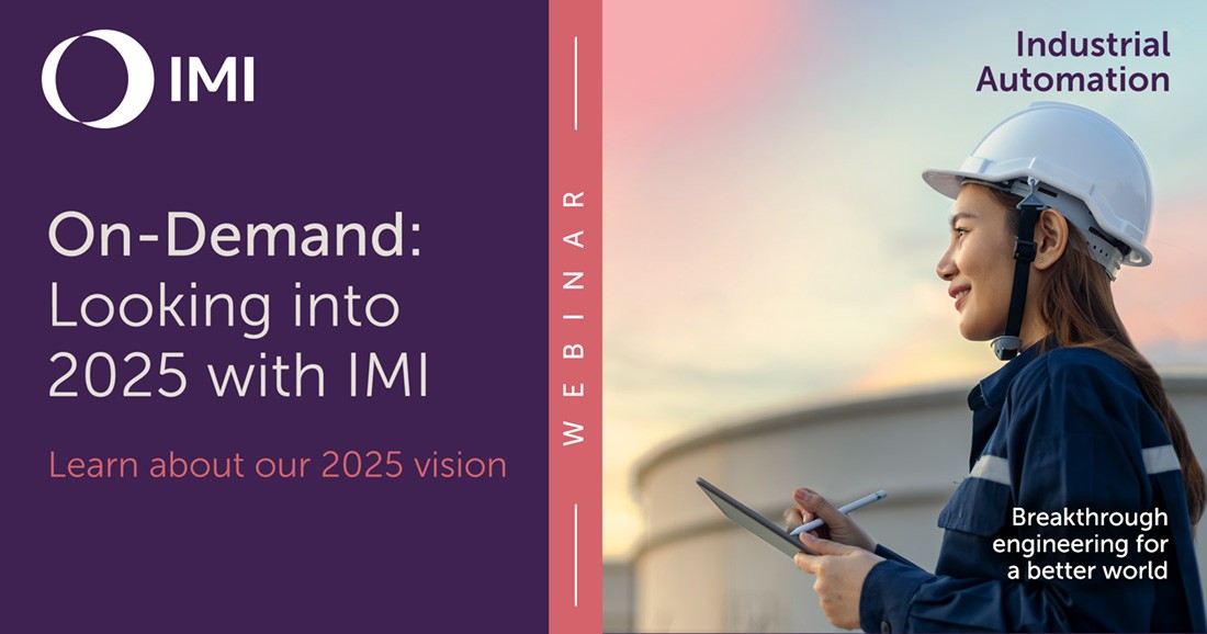 IMI's vision